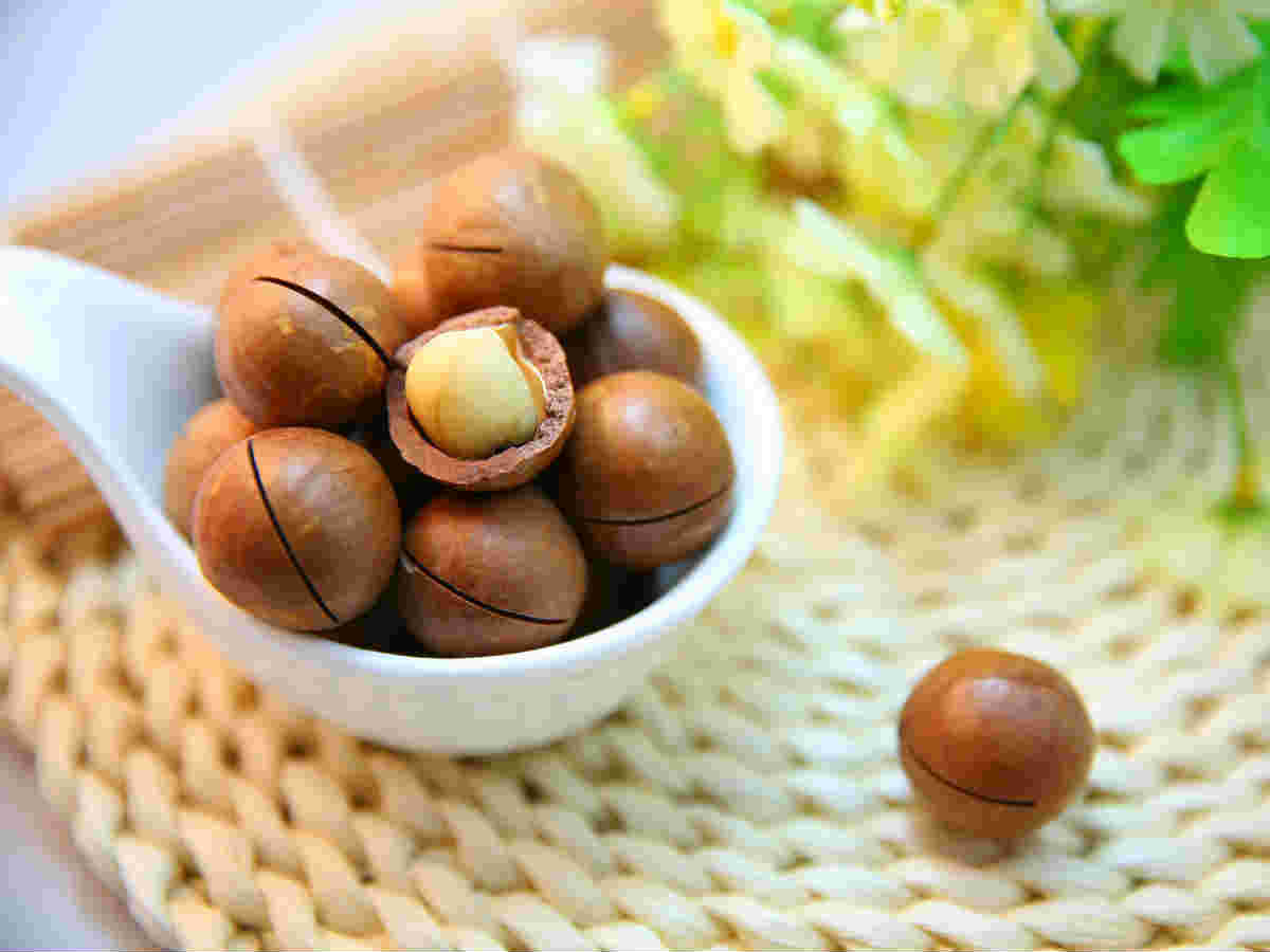 macadamia nuts